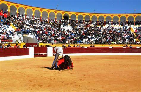 toros