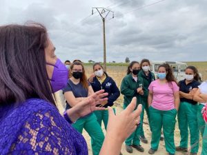agricultura