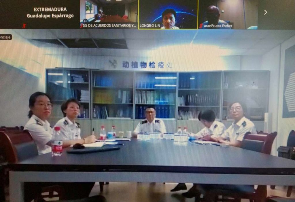Autoridades chinas realizan una auditoria de la campaña de exportación de melocotón y ciruela chinos