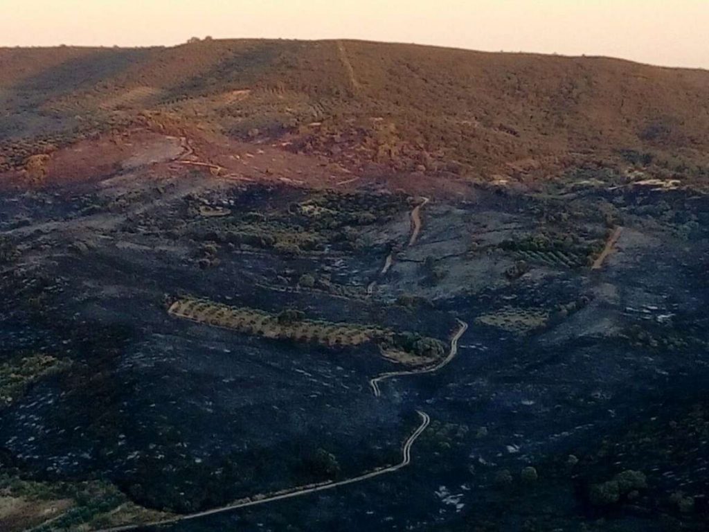 Esta semana se han producido 33 incendios que han afectado a 187 hectáreas incendio
