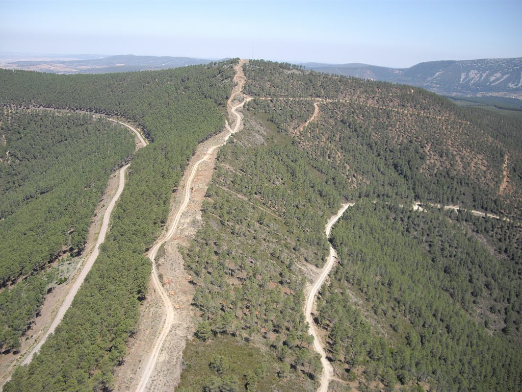 Extremadura se suma a Motor Verde, el mayor proyecto de reforestación a gran escala para impulsar la compensación de emisiones en España motor verde