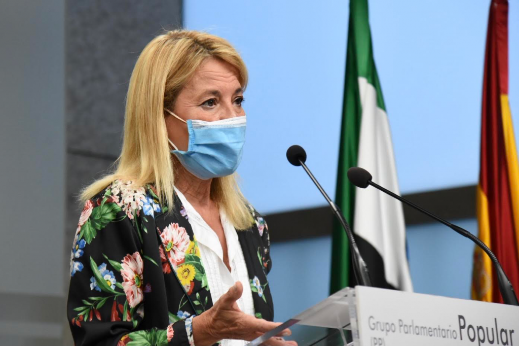 Nevado, PP, afirma que la Junta ha tapado el deterioro de la gestión sanitaria y es incapaz de hacer autocrítica nevado