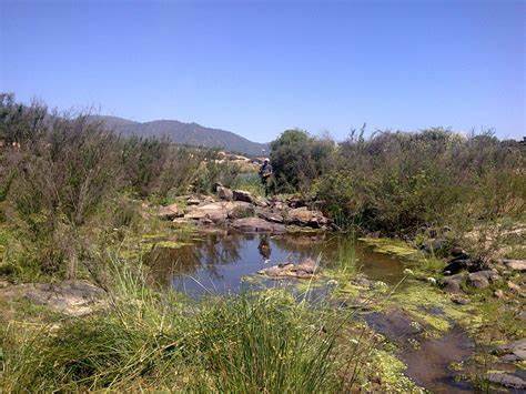 caudal ecologico