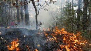 incendio