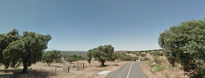 la cardenchosa