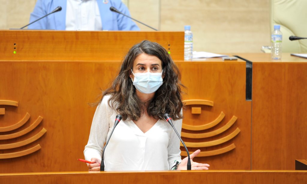 La Asamblea Ciudadana del Cambio Climático será una realidad irene de miguel 1