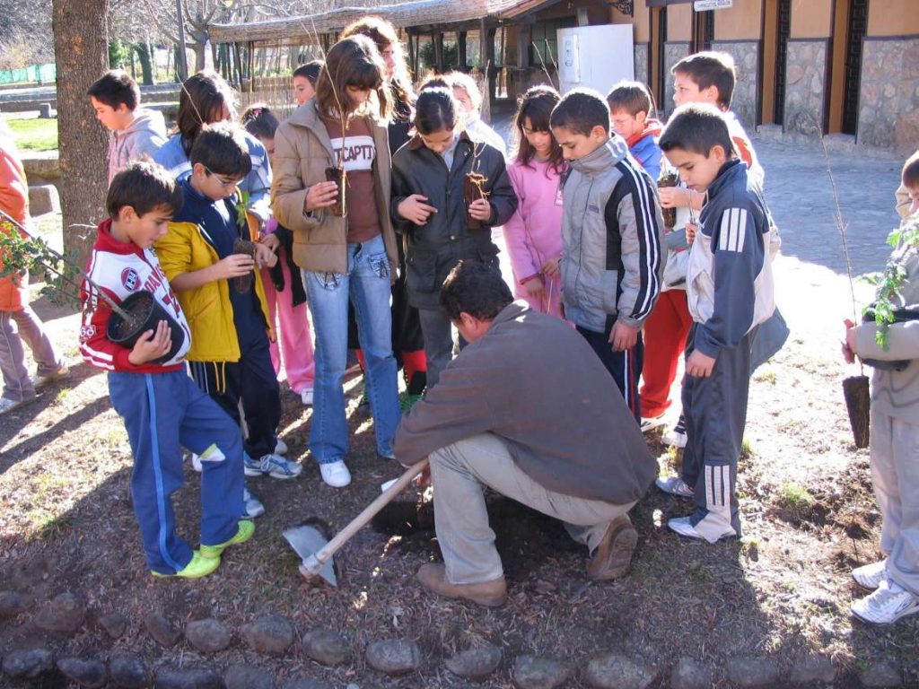 Actividades de reforestación y ornamentación entre los centros educativos Reforestacion