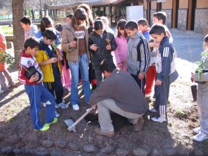 Reforestacion