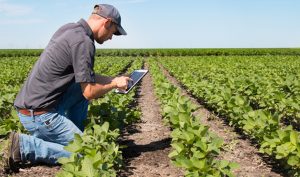 joven agricultor