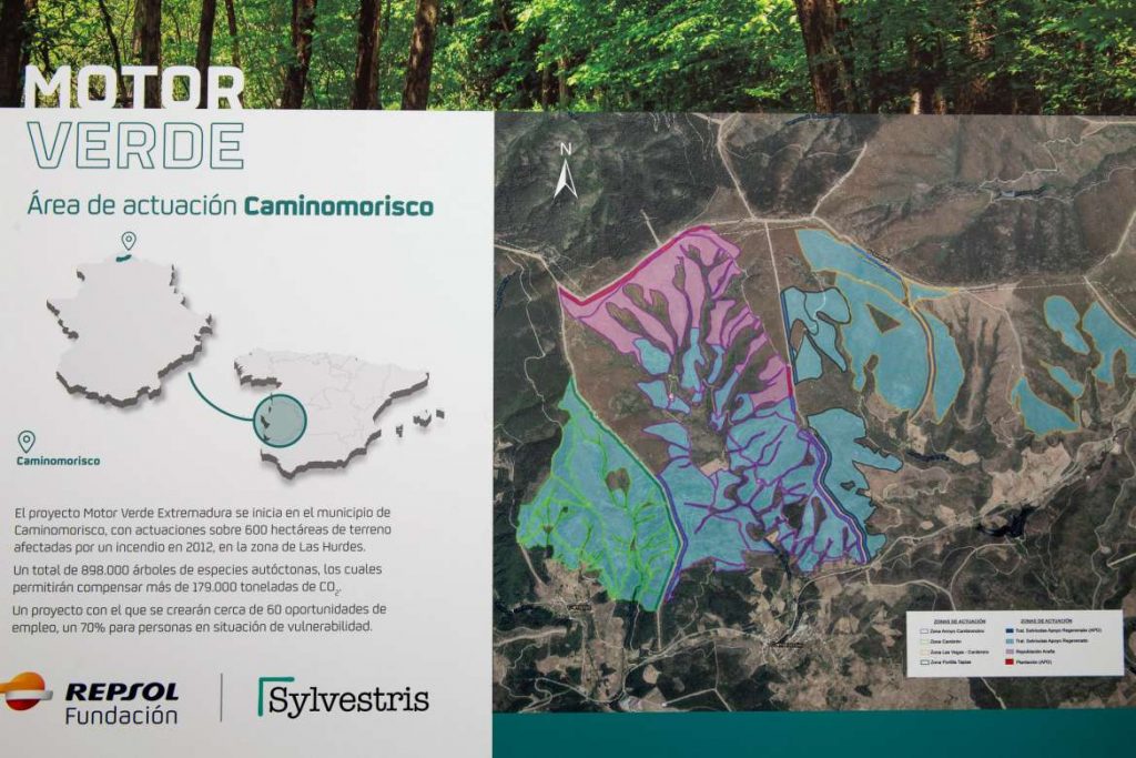 Fundación Repsol y Junta acometen un proyecto de reforestación en Las Hurdes reforestacion 2