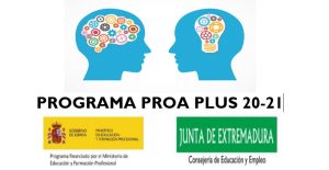 PROA PLUS DEF1