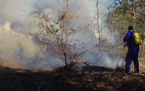 incendio