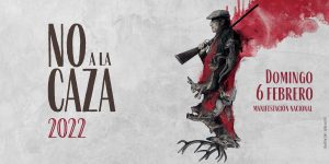 manifa caza
