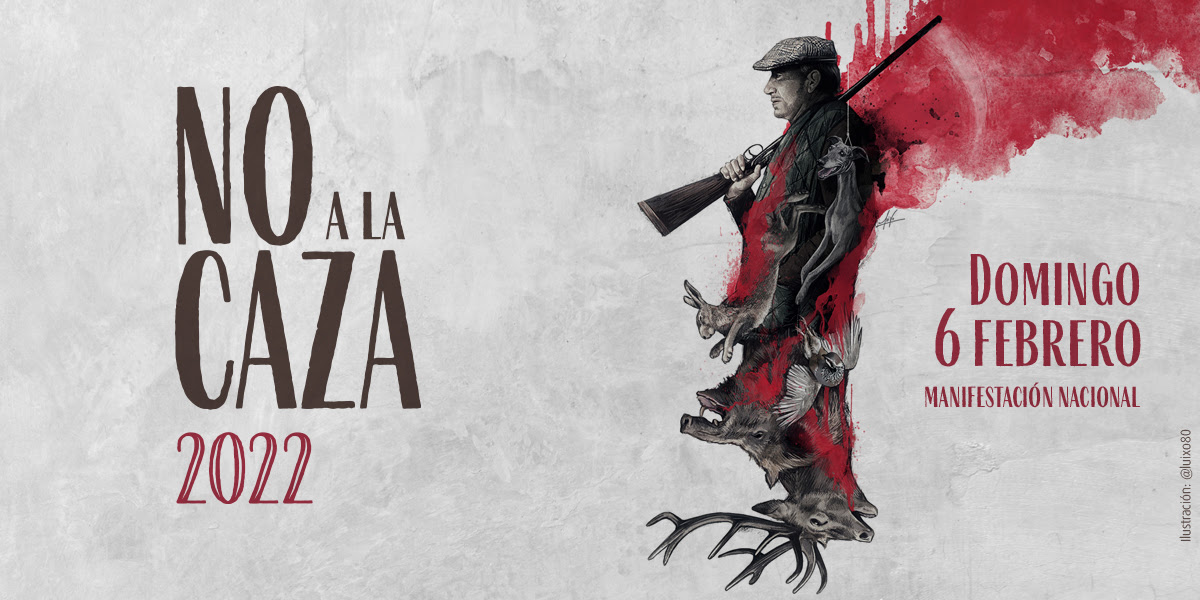 manifa caza