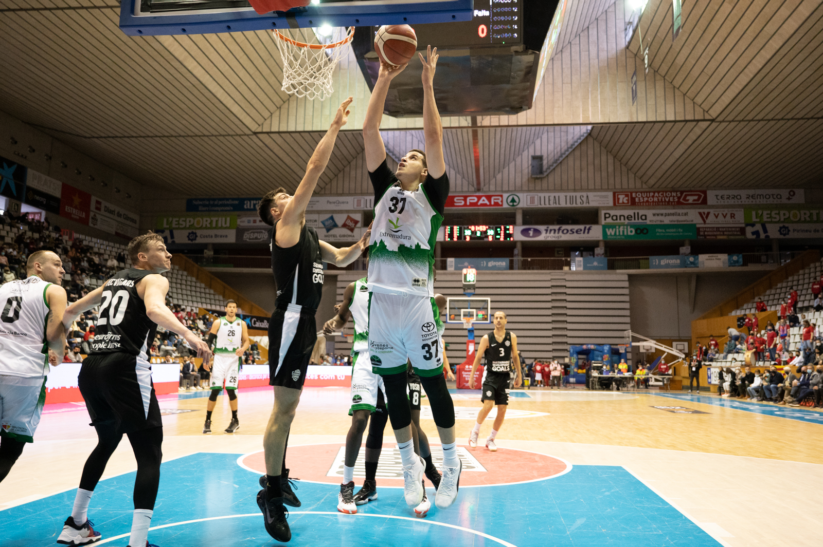 cc basket