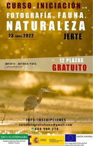 Curso fotografia 1