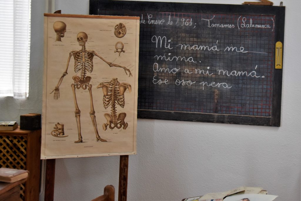 columna