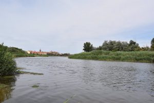 tajo