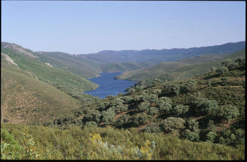 ADENEX denuncia el Plan de Defensa Contra Incendios en Monfragüe monfrague