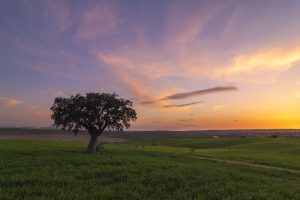 paisaje