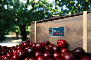 096 PICOTA jerte 2