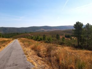 CARRETERA