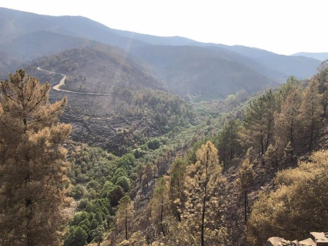 El 112 recomienda circular con precaución por las carreteras y vías dentro de la zona incendiada para evitar accidentes Incendio en Las Hurdes