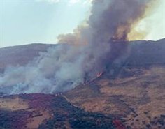 el fuego ha arrasado 1 000 hectareas en casas de miravete y ya ha llegado al parque nacional de monfrague