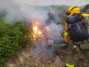 el plan infoex da por estabilizado el incendio declarado este sabado en garganta la olla y aldeanueva de la vera