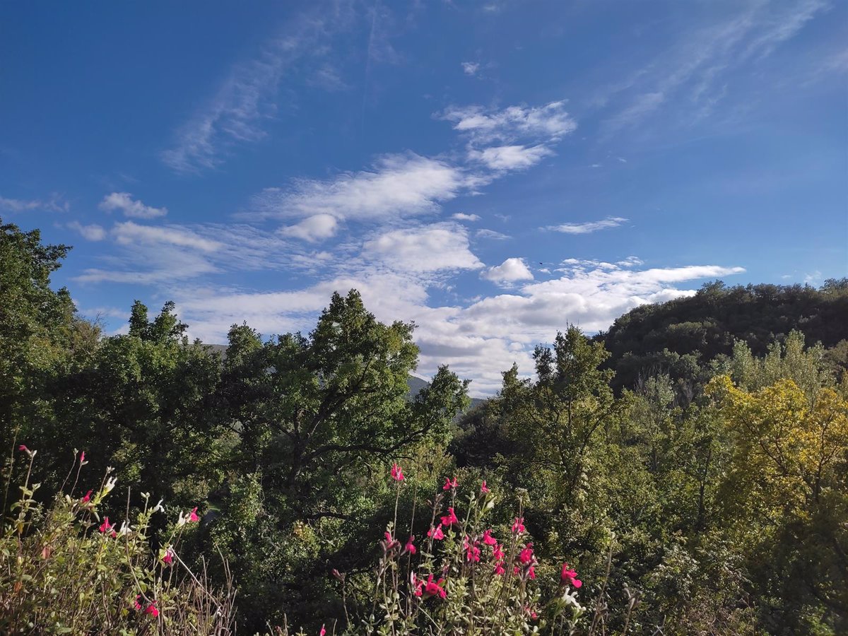 el tiempo en extremadura para hoy jueves 21 de julio de 2022