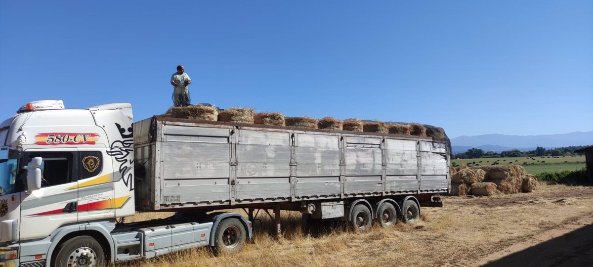 la diputacion de caceres entrega heno para el uso de los ganaderos afectados por el incendio en casas de miravete