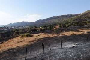 los incendios en casas de miravete y las hurdes sufren reproducciones y continuan estabilizados y en nivel 2