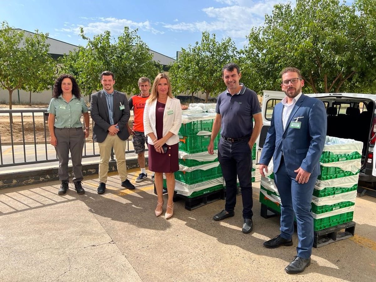 mercadona amplia su colaboracion con la donacion de alimentos al centro de acogida de caritas en plasencia