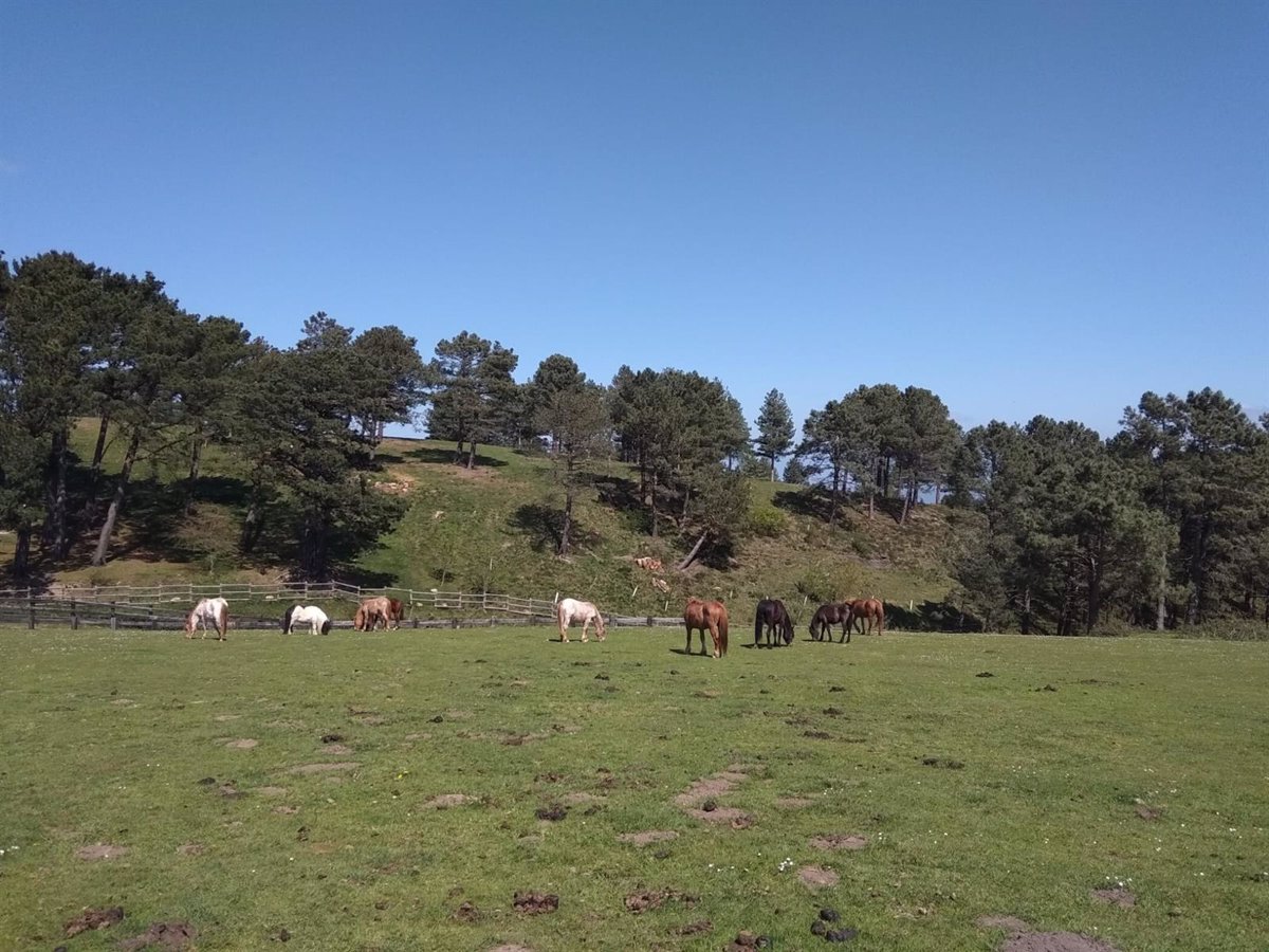 el tiempo en extremadura para hoy domingo 14 de agosto de 2022