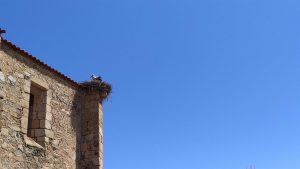 el tiempo en extremadura para hoy martes 16 de agosto de 2022