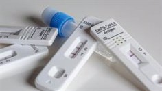 extremadura con 81 pacientes de covid 19 ingresados comunica a sanidad 14 fallecidos la ultima semana