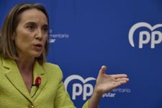 feijoo y cargos del pp consternados por la muerte en accidente de un dirigente del partido en elche