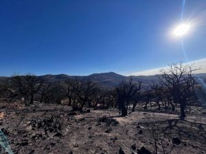 incendio miravete