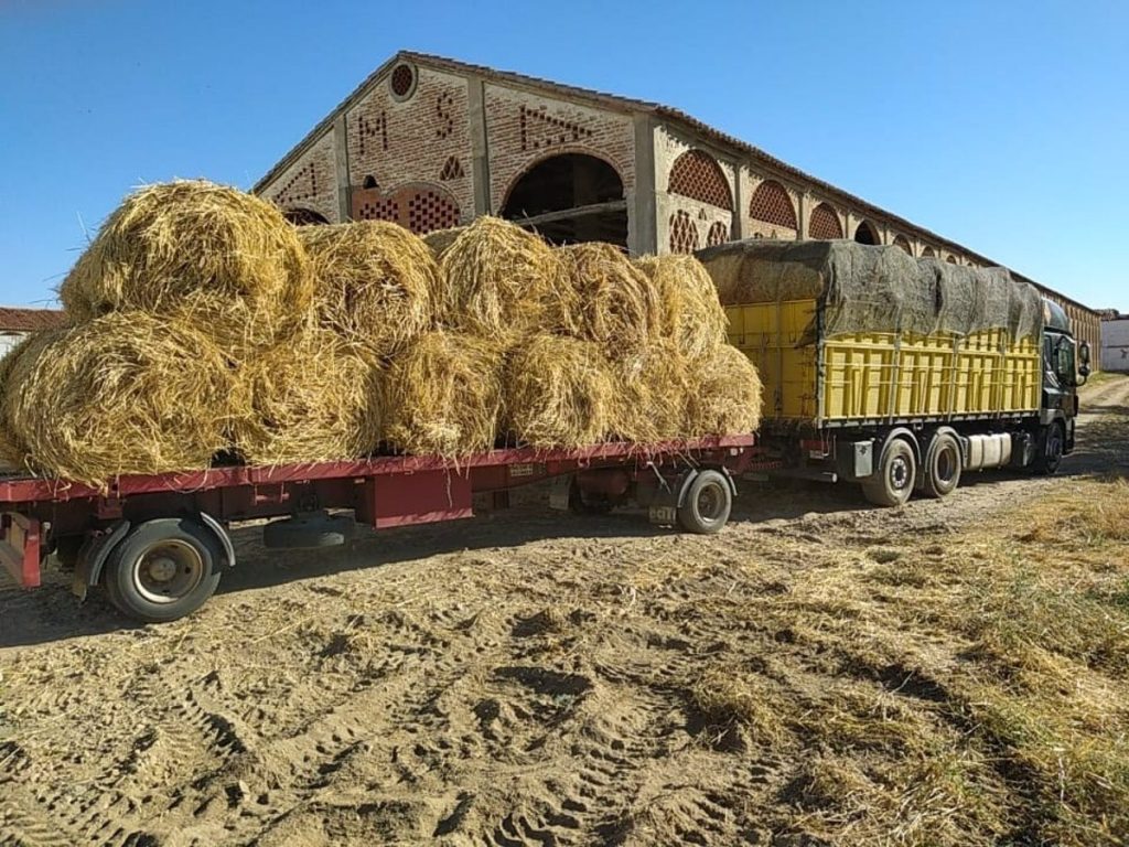 La Diputación de Cáceres continúa con la entrega pacas de heno y triticale a ganaderos afectados por los incendios la diputacion de caceres continua con la entrega pacas de heno y triticale a ganaderos afectados por los incendios