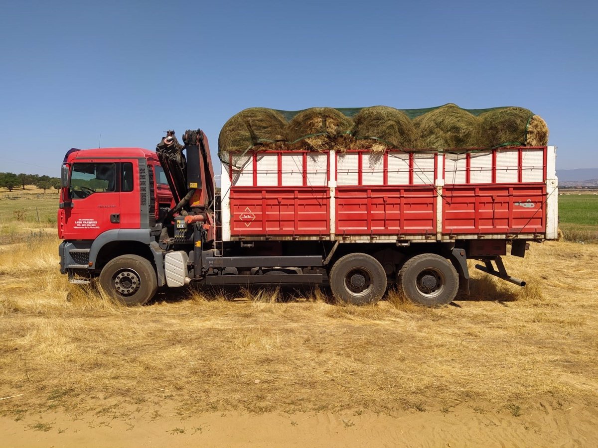 la diputacion de caceres reparte 16 000 kilos de heno entre ganaderos afectados por el incendio de villanueva de la vera