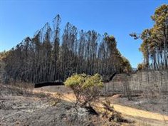 la junta cree que el plan nacional de adaptacion climatologica de colegios redundara en la calidad de la ensenanza