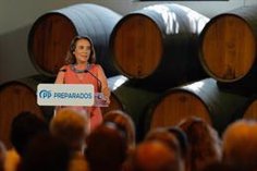 robles critica la lentitud de la justicia en espana y pide una reflexion al supremo y constitucional