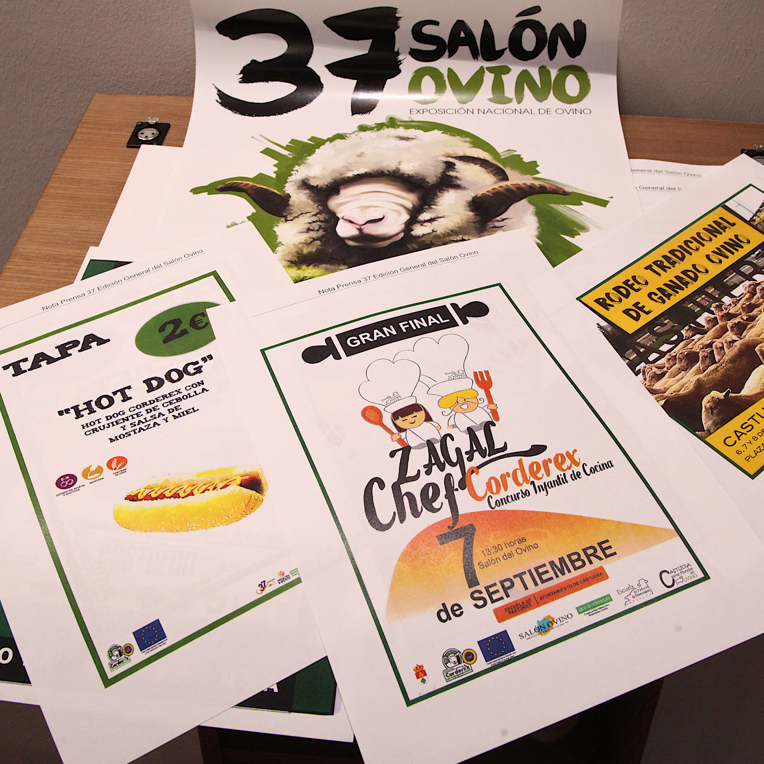 carteles salon ovino castuera