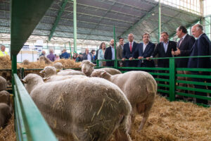 feria zafra 22