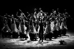 flamenco joven