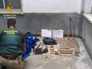 plantacion marihuana