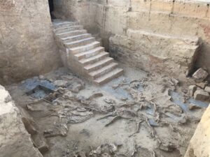Excavaciones turunuelo