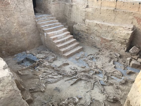 Excavaciones turunuelo