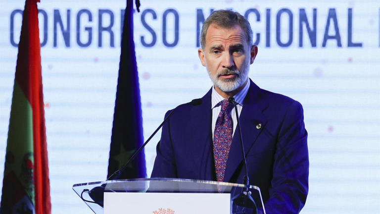 rey felipe VI 1
