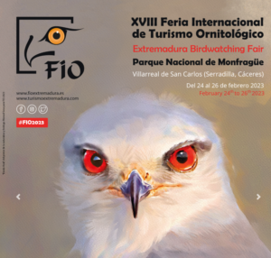 fio 2023